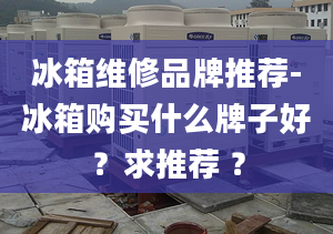 冰箱维修品牌推荐-冰箱购买什么牌子好？求推荐 ？