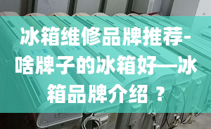 冰箱维修品牌推荐-啥牌子的冰箱好—冰箱品牌介绍 ？