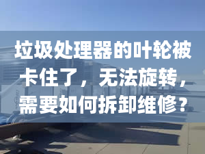 垃圾处理器的叶轮被卡住了，无法旋转，需要如何拆卸维修？