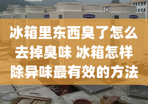 冰箱里东西臭了怎么去掉臭味 冰箱怎样除异味最有效的方法