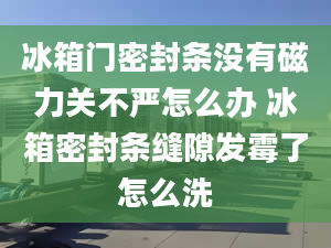 冰箱门密封条没有磁力关不严怎么办 冰箱密封条缝隙发霉了怎么洗