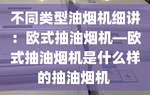 不同类型油烟机细讲：欧式抽油烟机—欧式抽油烟机是什么样的抽油烟机 