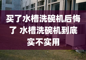 买了水槽洗碗机后悔了 水槽洗碗机到底实不实用