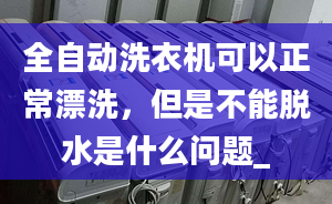 全自动洗衣机可以正常漂洗，但是不能脱水是什么问题_