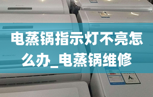 电蒸锅指示灯不亮怎么办_电蒸锅维修