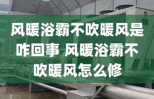 风暖浴霸不吹暖风是咋回事 风暖浴霸不吹暖风怎么修