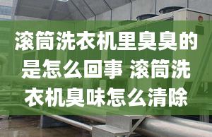 滚筒洗衣机里臭臭的是怎么回事 滚筒洗衣机臭味怎么清除