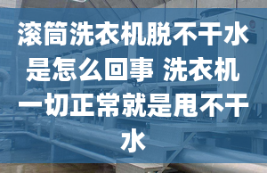 滚筒洗衣机脱不干水是怎么回事 洗衣机一切正常就是甩不干水