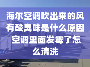 海尔空调吹出来的风有酸臭味是什么原因 空调里面发霉了怎么清洗