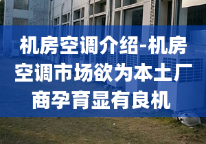 机房空调介绍-机房空调市场欲为本土厂商孕育显有良机 