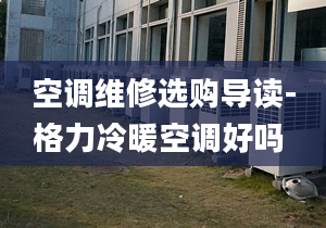 空调维修选购导读-格力冷暖空调好吗 