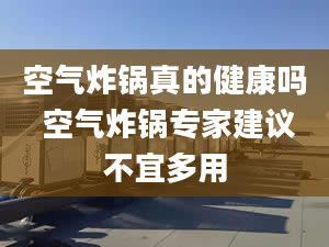 空气炸锅真的健康吗 空气炸锅专家建议不宜多用