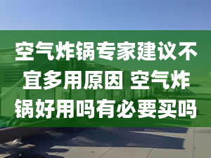 空气炸锅专家建议不宜多用原因 空气炸锅好用吗有必要买吗