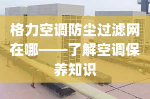 格力空调防尘过滤网在哪——了解空调保养知识