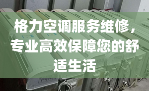 格力空调服务维修，专业高效保障您的舒适生活