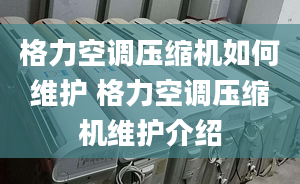 格力空调压缩机如何维护 格力空调压缩机维护介绍