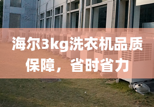 海尔3kg洗衣机品质保障，省时省力