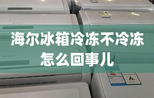 海尔冰箱冷冻不冷冻怎么回事儿