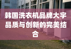 韩国洗衣机品牌大宇品质与创新的完美结合