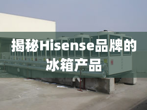 揭秘Hisense品牌的冰箱产品