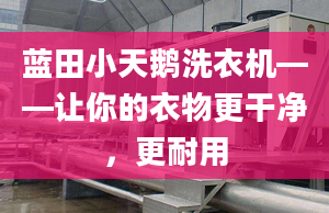 蓝田小天鹅洗衣机——让你的衣物更干净，更耐用