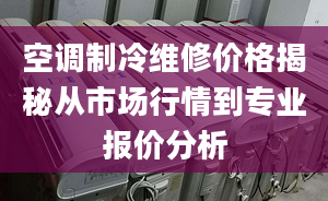 空调制冷维修价格揭秘从市场行情到专业报价分析