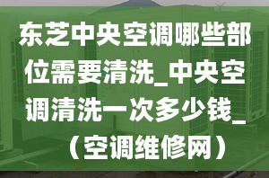 东芝中央空调哪些部位需要清洗_中央空调清洗一次多少钱_（空调维修网）