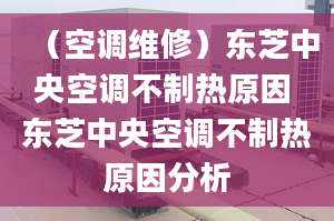 （空调维修）东芝中央空调不制热原因 东芝中央空调不制热原因分析