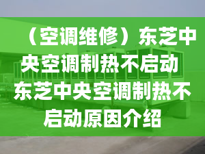 （空调维修）东芝中央空调制热不启动 东芝中央空调制热不启动原因介绍