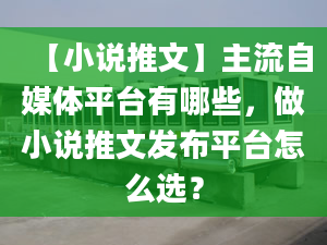 【小说推文】主流自媒体平台有哪些，做小说推文发布平台怎么选？