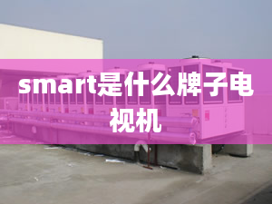 smart是什么牌子电视机