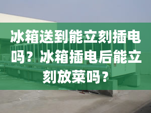 冰箱送到能立刻插电吗？冰箱插电后能立刻放菜吗？