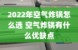 2022年空气炸锅怎么选 空气炸锅有什么优缺点