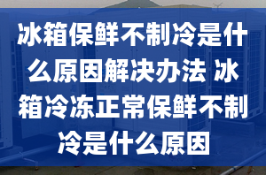 冰箱保鲜不制冷是什么原因解决办法 冰箱冷冻正常保鲜不制冷是什么原因