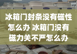 冰箱门封条没有磁性怎么办 冰箱门没有磁力关不严怎么办